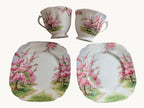 Royal Albert bone china tea cups and side plates, pink blossom garden pattern