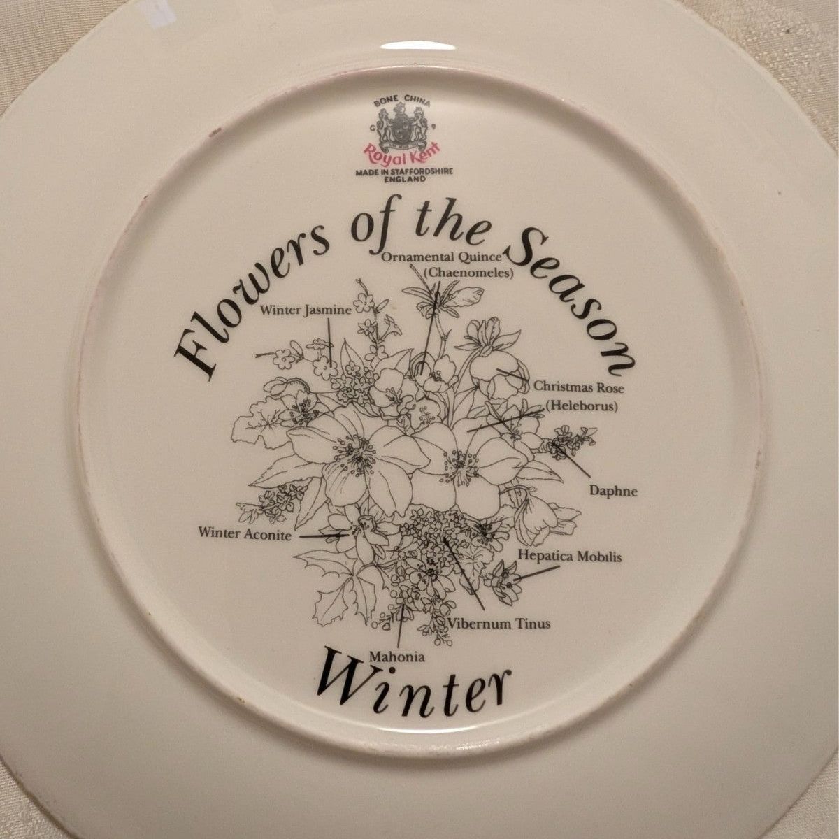Royal Kent Winter collector plate back, floral line art and season text