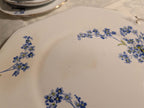Bone china plate with blue forget-me-not flower spray and delicate gold rim
