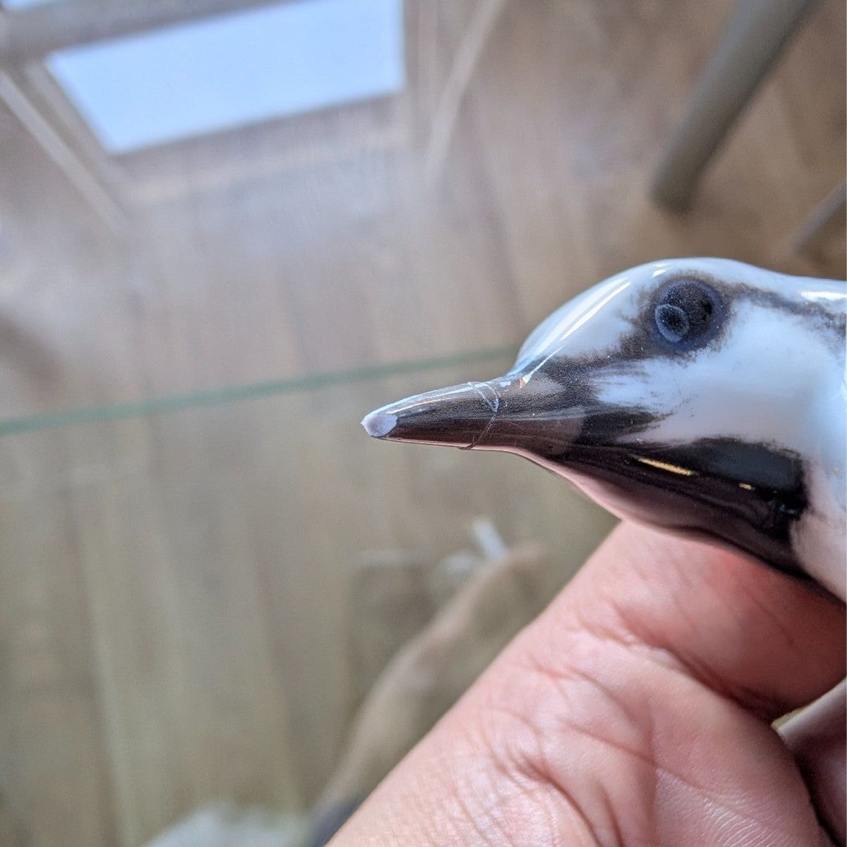 Porcelain pied wagtail figurine close-up of head and beak