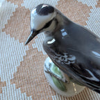 Porcelain pied wagtail figurine with raised tail, glossy black-and-white