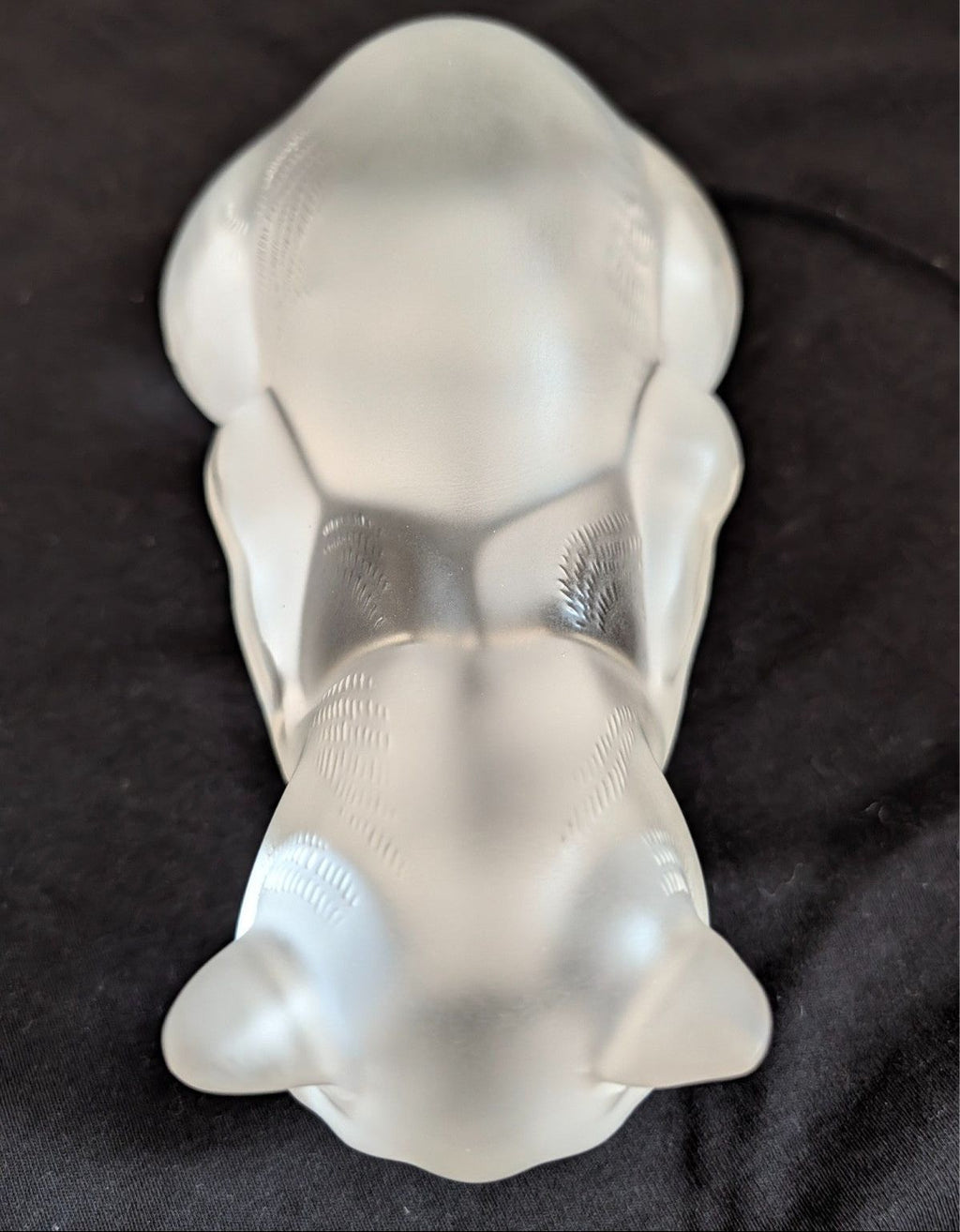 Frosted crystal cat sculpture, rear view from above, detailed paws and tail