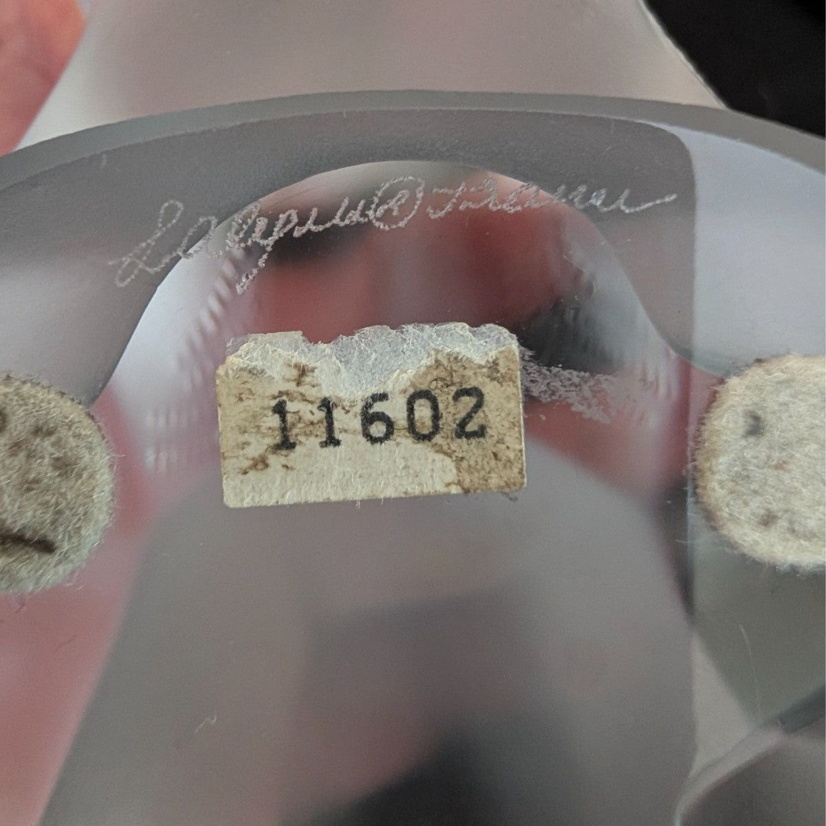 Frosted crystal cat sculpture, close-up of engraved serial tag on base