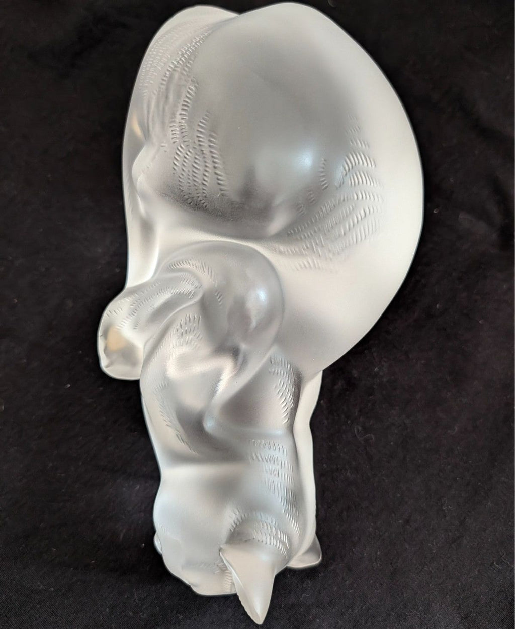 Frosted crystal cat sculpture, three-quarter view with curled body and tail