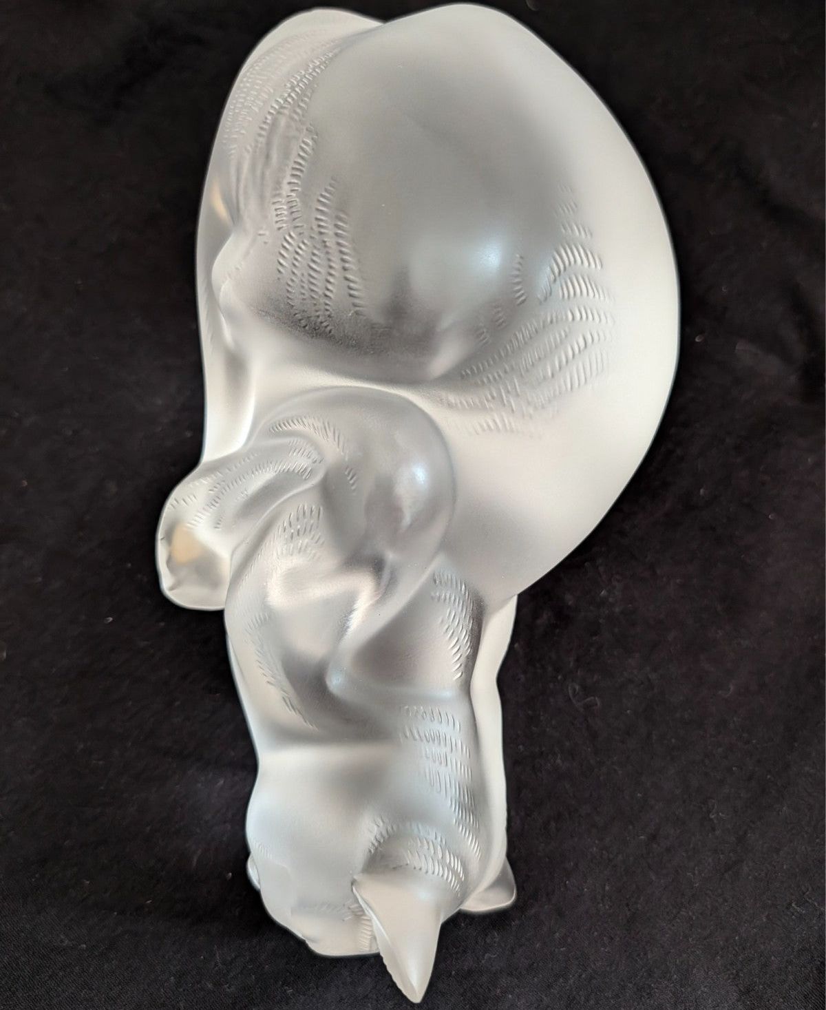 Frosted crystal cat sculpture, three-quarter view with curled body and tail